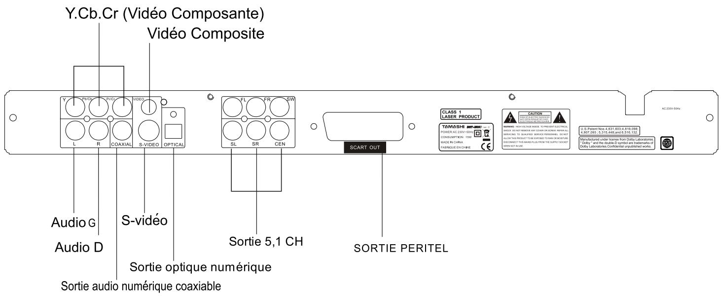 TAMASHI DHT-I5000 - A propos frontal - 2