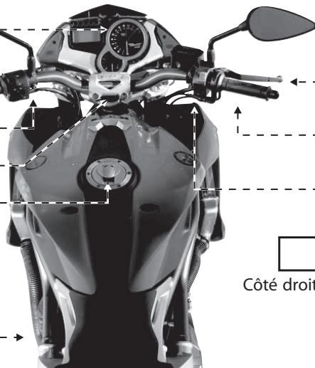 BENELLI R160 - Position des commandes et appareils - 2