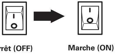 LOGICOM-SANYO PLV-Z3000 - Remarques: - 1