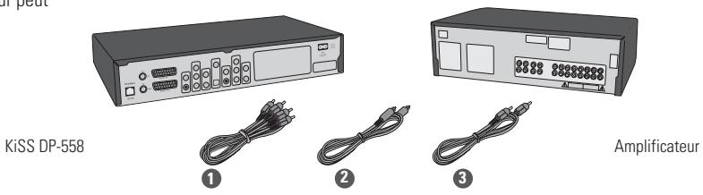 KISS DP-558 - Connexion audio - 1