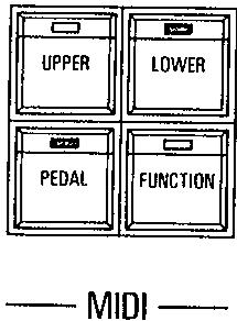 KAWAI X5000 - Procedure - 2