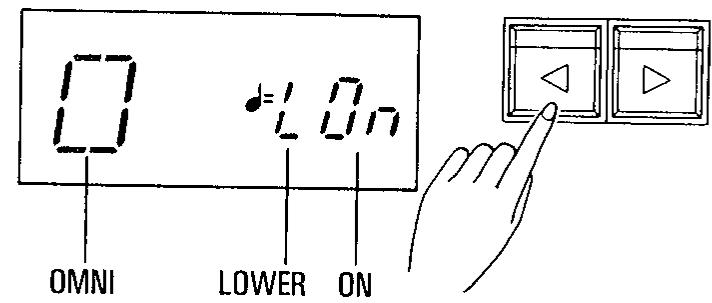 KAWAI X5000 - Procedure - 2