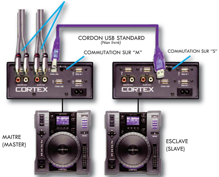 CORTEX HDTT-5000 - ETAPE3 - 2