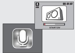 FERRANIA SD-V520 - Mode d'enregistrement sonore - 2