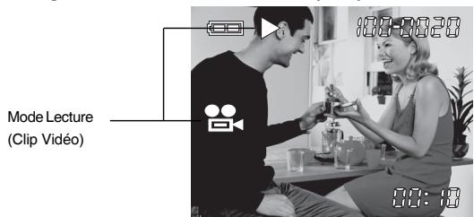 GENUIS P210 - Icônes d'affichage LCD - 4