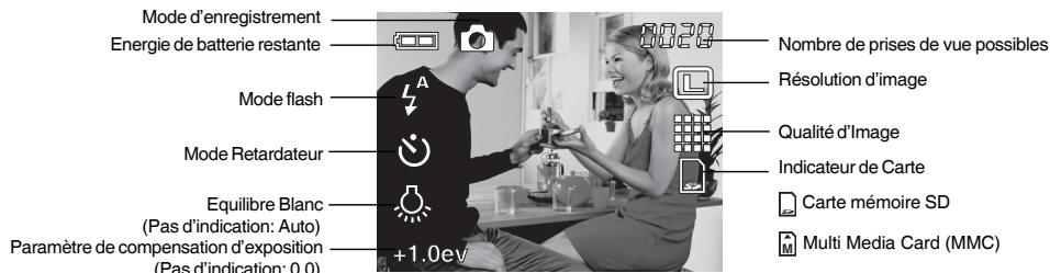 GENUIS P210 - Icônes d'affichage LCD - 1