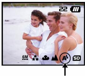 GENUIS P611 - Retardateur - 2
