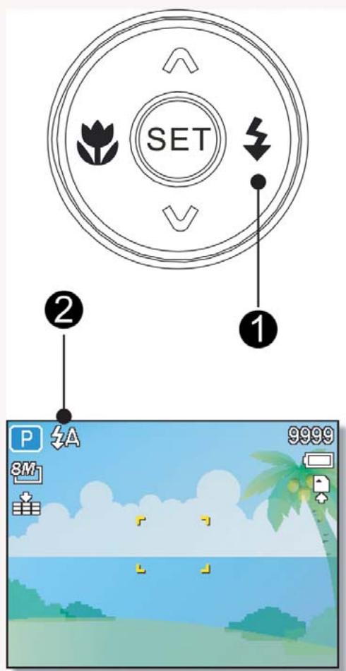 GENUIS P831 - Avertissement - 1