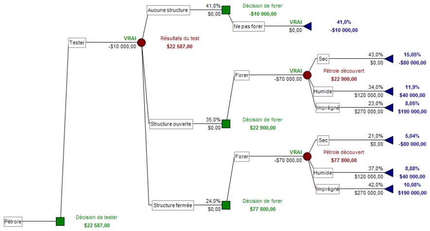PALISADE PRECISIONTREE 5.5 - Suggestion d'approche type - 1