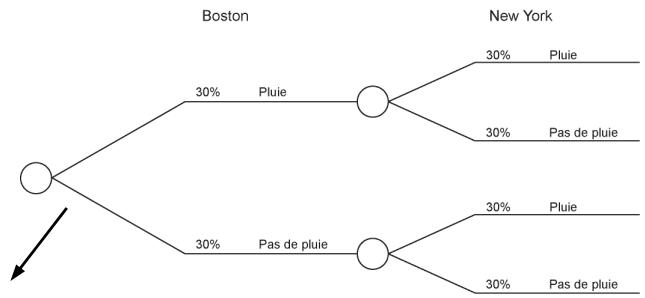 PALISADE PRECISIONTREE 5.5 - Modèle de jour de pluie - 2