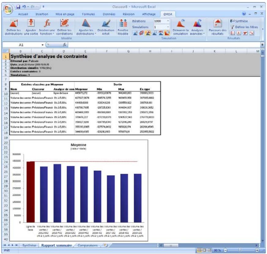 PALISADE RISK 5.5 - Rapport sommaire - 1