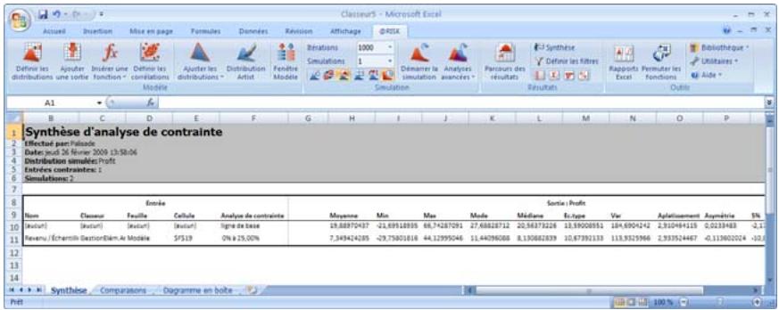 PALISADE RISK 5.5 - Rapport de synthèse - 1