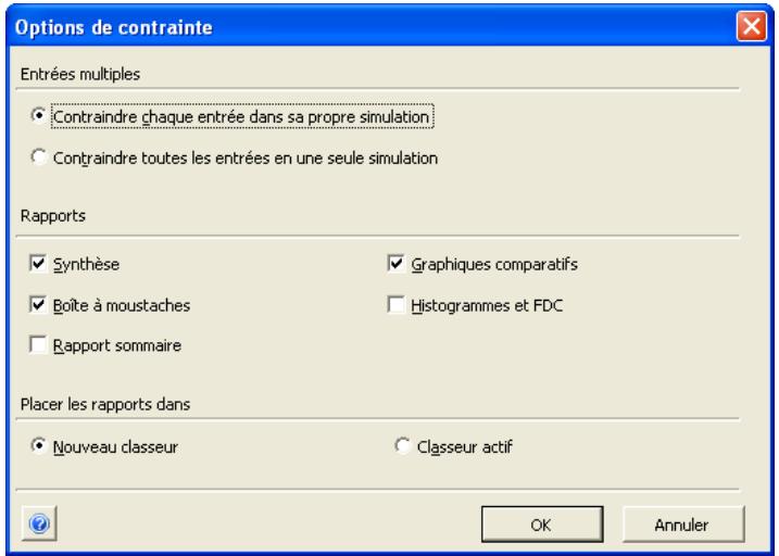 PALISADE RISK 5.5 - Boîte de dialogue Options de contrainte — Commande Analyse de contrainte - 1
