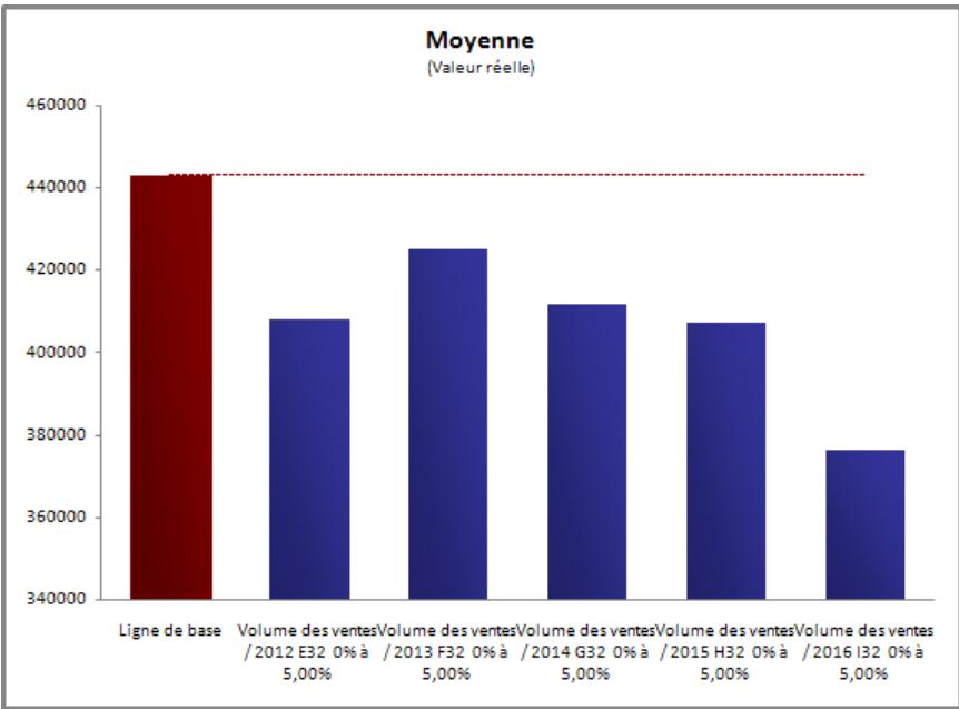 PALISADE RISK 5.5 - Rapport sommaire - 2