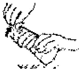 MURATEC MFX-2500 - Installation de la bouteille de poudre - 5