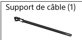 SONY KD-75XD8505B - Fournies avec le SU-WL450 - 1