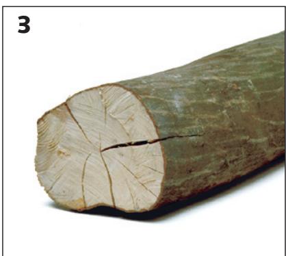 STUV 30-COMPACT - A proscire - 3