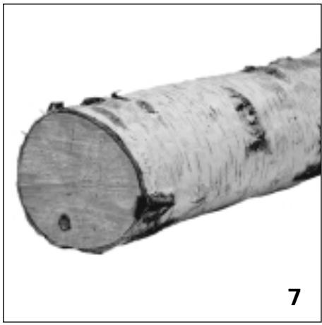 STUV 60 - Grillades - 1