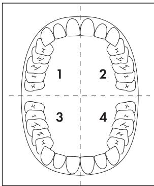 DENTALUX DAZ 2.4 A1 - Remarque - 1