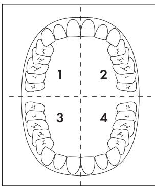 DENTALUX DAZ 2.4 A1 - ① Avvertenza - 1