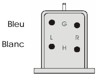 PRO-JECT DEBUT III - Mise en place de la cellule - 2