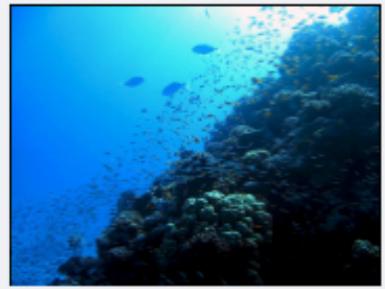 MAGIX FILMS SUR CD DVD - Detection de scènes: 05 Beach.mxv - 2