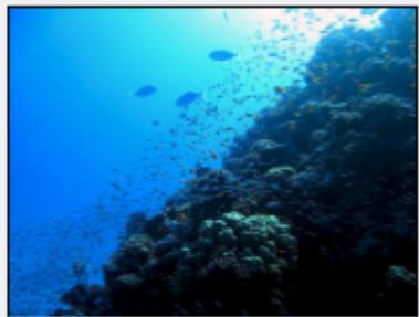 MAGIX FILMS SUR CD DVD - Detection de scènes: 05 Beach.mxv - 2