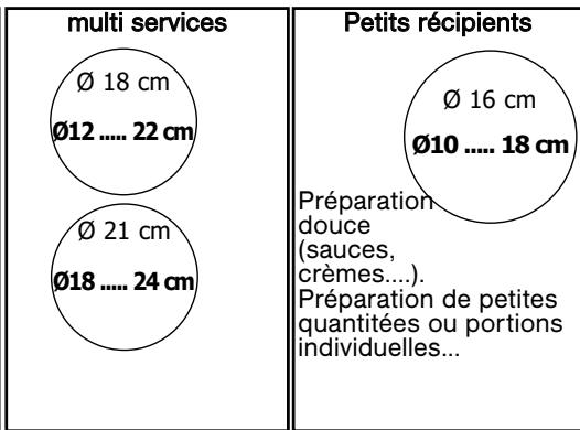 SAUTER SPI4360W - Sécurité "casserole vide - 2