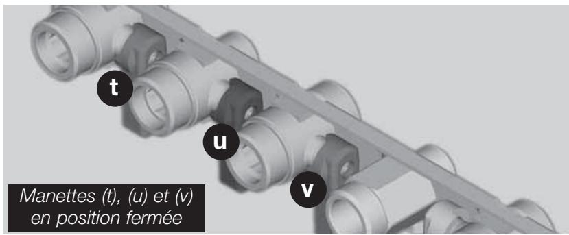 SAUNIER DUVAL THEMA F25E V 25 KW - Vidange du circuit sanitaire - 1