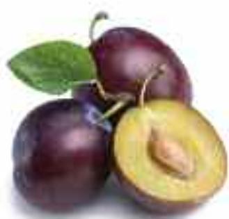MAGIMIX MINI PLUS 18260F - Clafoutis aux prunes - 1