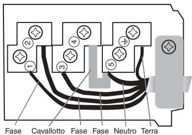 SCHOLTES TRP642DL - Otrostipsodeconexión - 2