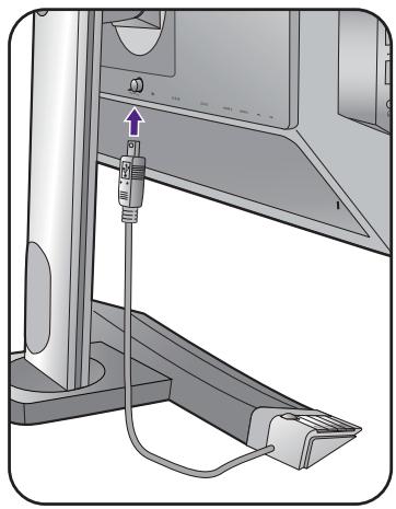 BENQ XL2411T - Connexion de l'alimentation et mise sous tension. - 3