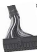 SILVERSTONE STRIDER ESSENTIAL ST50F-ES230 - Power supply connectors - 1