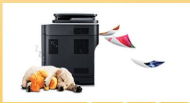 SAMSUNG ML-2955DW - Impression rapide et de haute qualité - 1