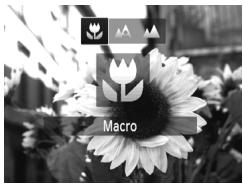 CANON POWERSHOT A2300 - Prise de vue en gros plan (Macro) - 1