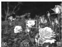 CANON POWERSHOT A2300 - Recadrage des photos avec la mise au point mémorisée - 2