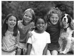 CANON POWERSHOT A2300 - Affichage - 3