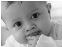 CANON POWERSHOT A2300 - Utilisation du panneau tactile - 6