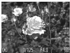 CANON POWERSHOT A2300 - Recadrage des photos avec la mise au point mémorisée - 1