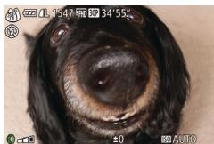 CANON POWERSHOT G7X MII - Choisissez [3]. - 1