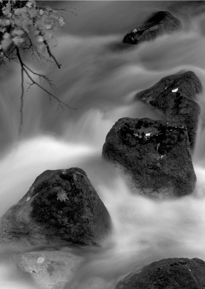 CANON EOS 600D - Quittez le mode de lecture d'images. - 1