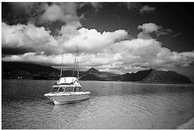 CANON EOS 600D - Conseils de prise de vue - 4