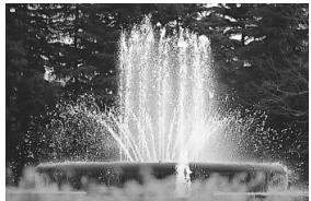 CANON EOS 600D - Tv : Scènes d'action - 2