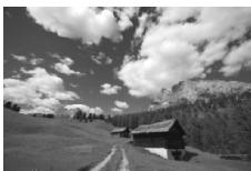 CANON EOS 600D - Sélectionnez une image. - 1