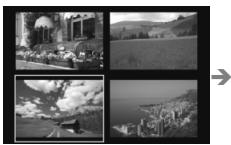 CANON EOS 600D - Affichez l'index. - 2