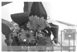 CANON EOS 600D - Agrandissez l'image. - 2