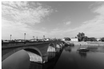 CANON EOS 600D - Prenez la photo. - 2