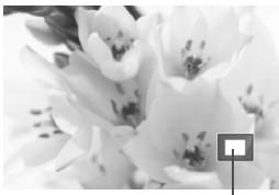 CANON EOS 600D - Parcourez les images par sauts. - 4