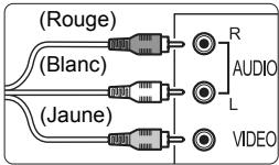 CANON EOS 600D - Branchez le cable video fourni sur l'appareil photo. - 1