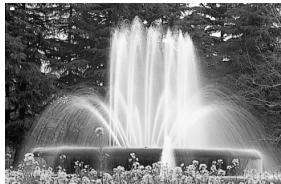 CANON EOS 600D - Tv : Scènes d'action - 1